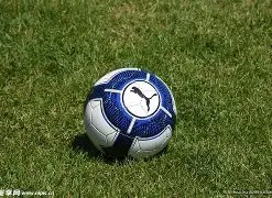 乐鱼体育,资讯,乐鱼体育官网,乐鱼体育官网,乐鱼体育平台,乐鱼体育链接,乐鱼体育官方