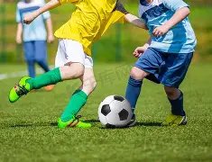 乐鱼体育,资讯,乐鱼体育官网,乐鱼体育官网,乐鱼体育平台,乐鱼体育链接,乐鱼体育官方