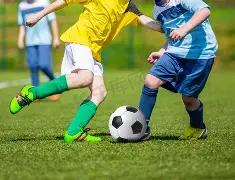 乐鱼体育,资讯,乐鱼体育官网,乐鱼体育官网,乐鱼体育平台,乐鱼体育链接,乐鱼体育官方