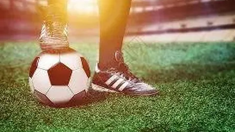 乐鱼体育 资讯 115311 0q3