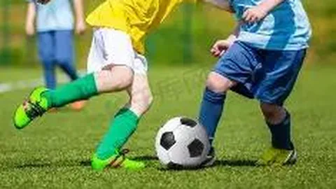 乐鱼体育 资讯 100657 gwp