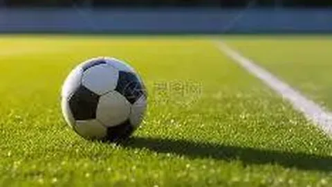 乐鱼体育 产品 093816 3sz