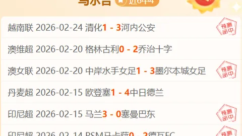 莱万赛季进球数达17粒领跑，哈兰德紧随其后居射手榜之巅
